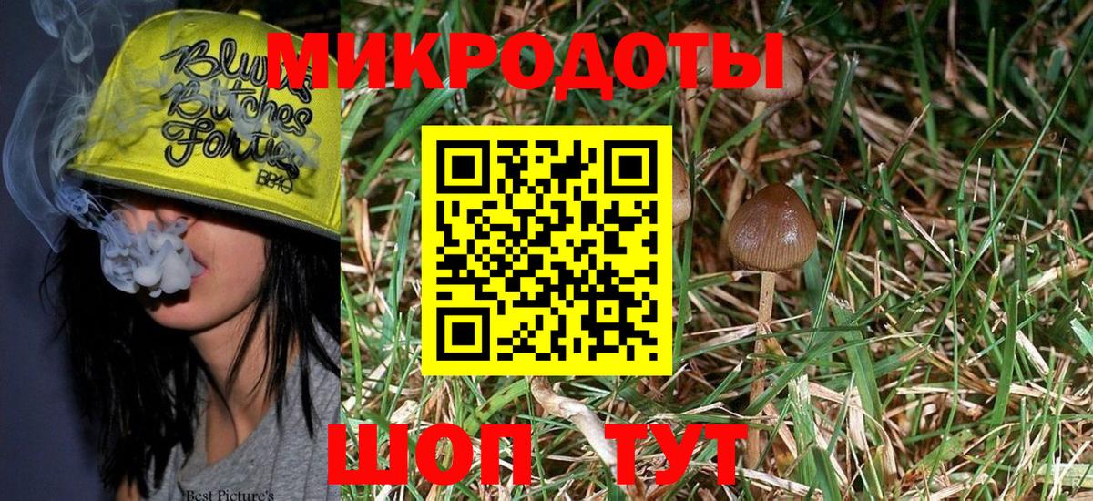 Галлюциногенные грибы Magic Shrooms  Вход с VPN  купить  цена  Балашов 