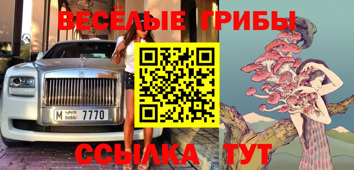 Псилоцибиновые грибы Cubensis Балашов